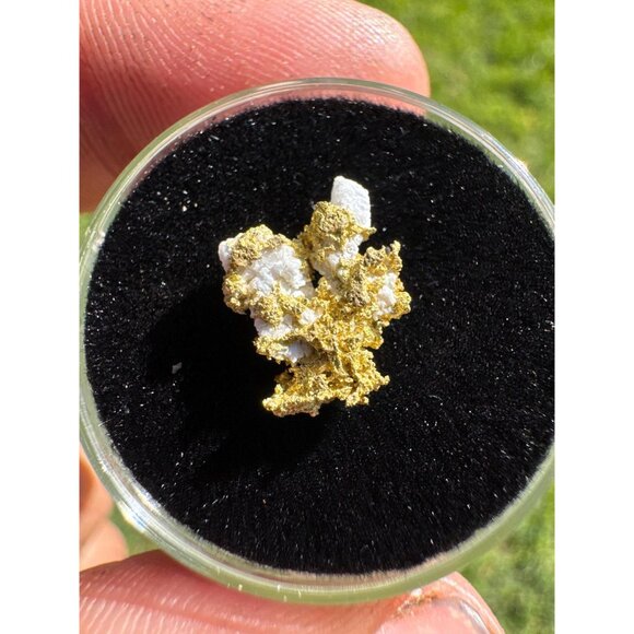 California Native Gold on Quartz Crystal - 0.76 grams - Picture 6 of 7